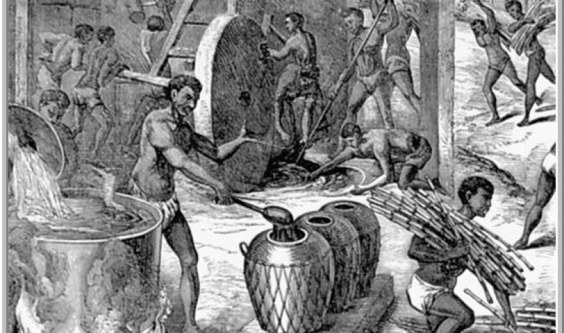 The Sugarcane Cycle, in Brazil 1530–1700 The Sugarcane Cycle, in Brazil 1530–1700